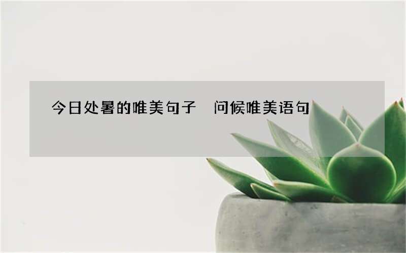 今日处暑的唯美句子 问候唯美语句